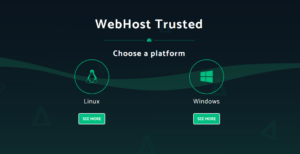 WebHost servers